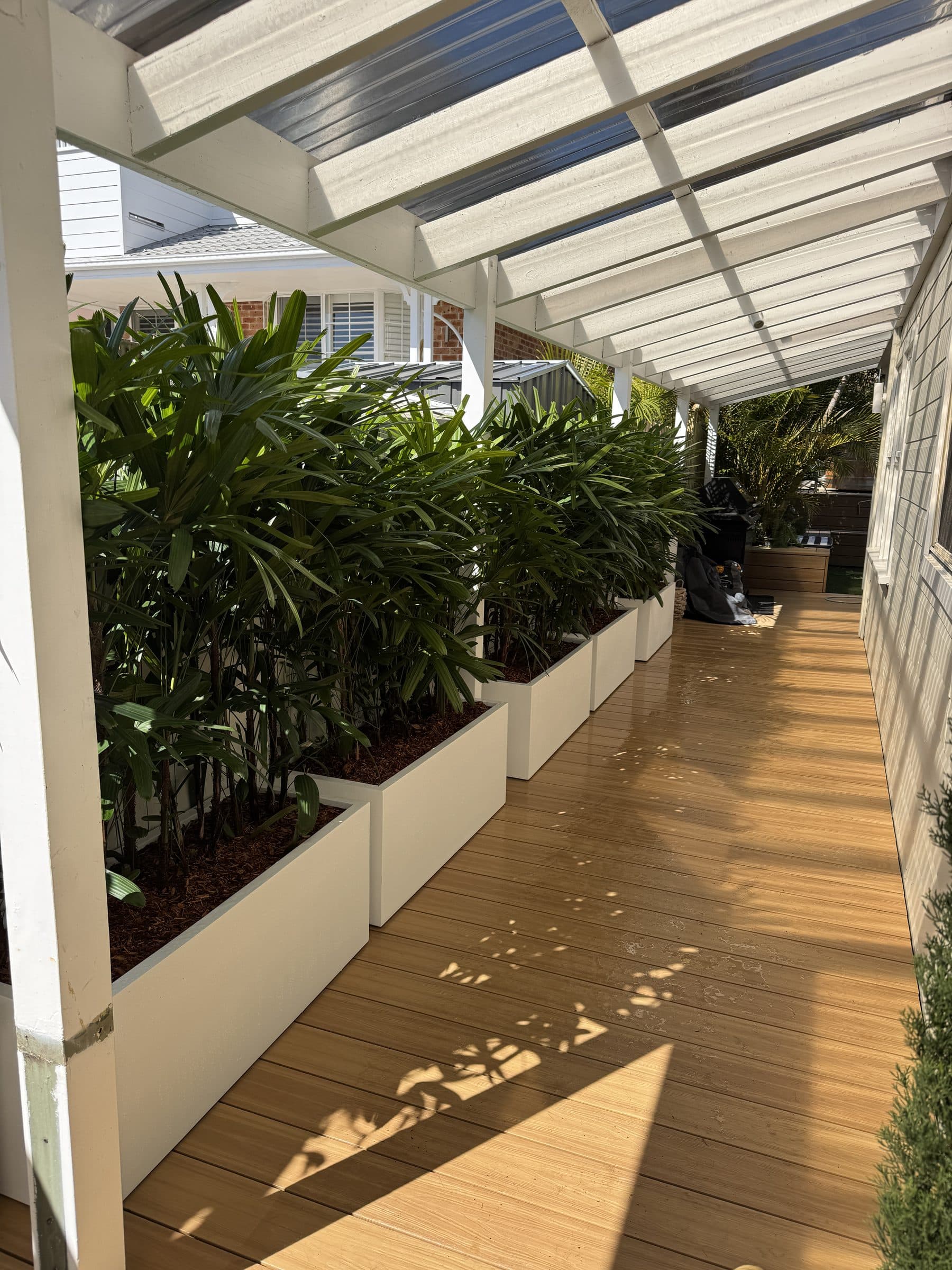Curl Curl garden after work by The Hedge Fund