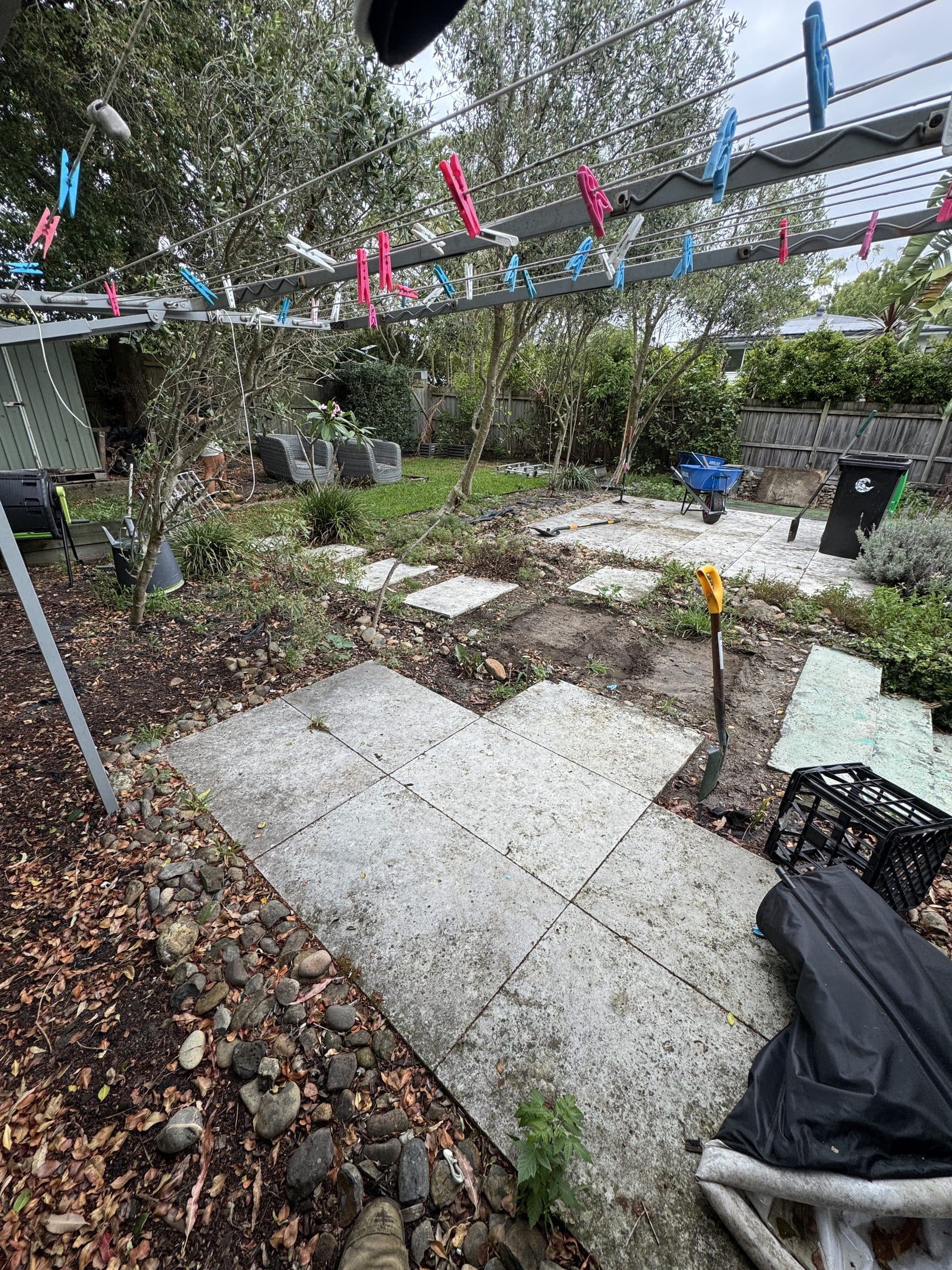 Newton Place garden before work by The Hedge Fund
