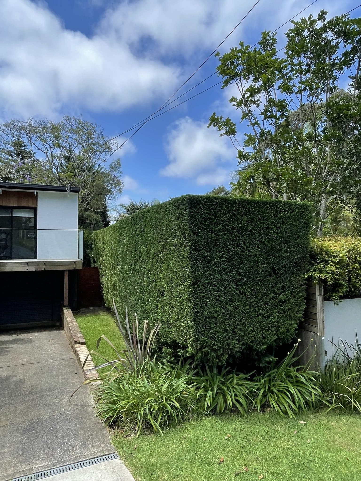A hedge clipped into a sharp square cube beside a driveway