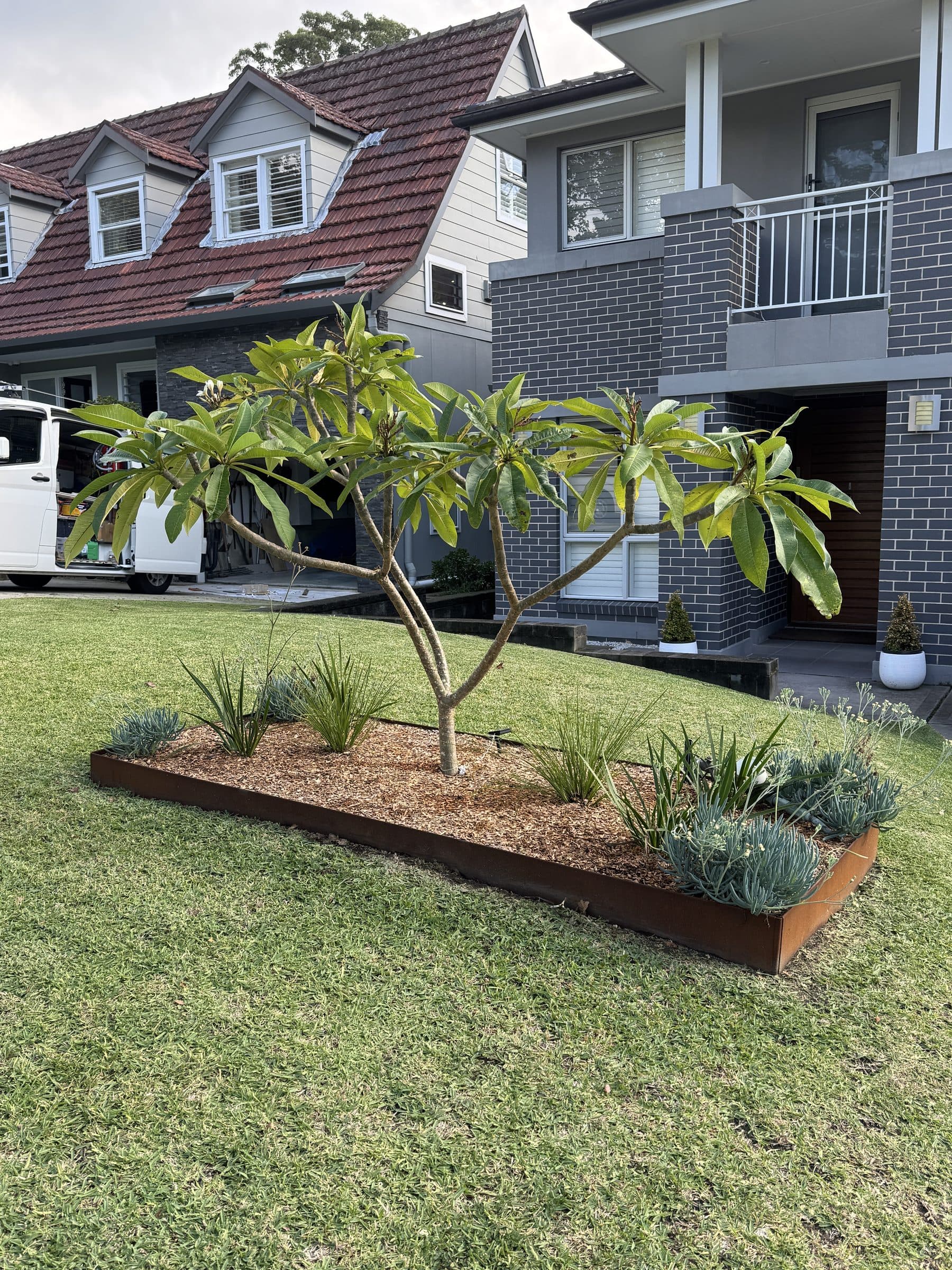 A raised garden bed with a feature tree and succulents on a fresh lawn