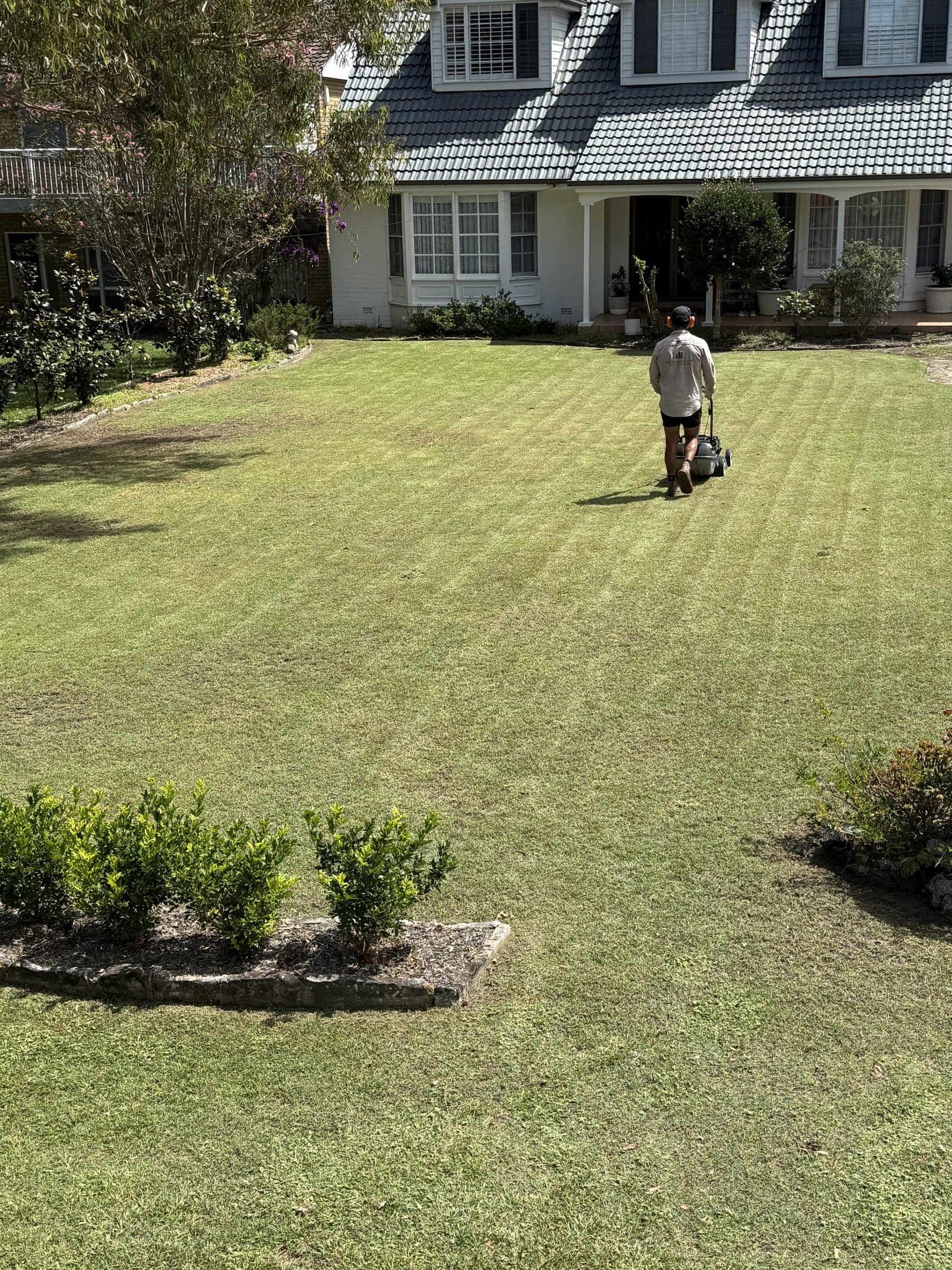 Mowing clean stripes into a large front lawn
