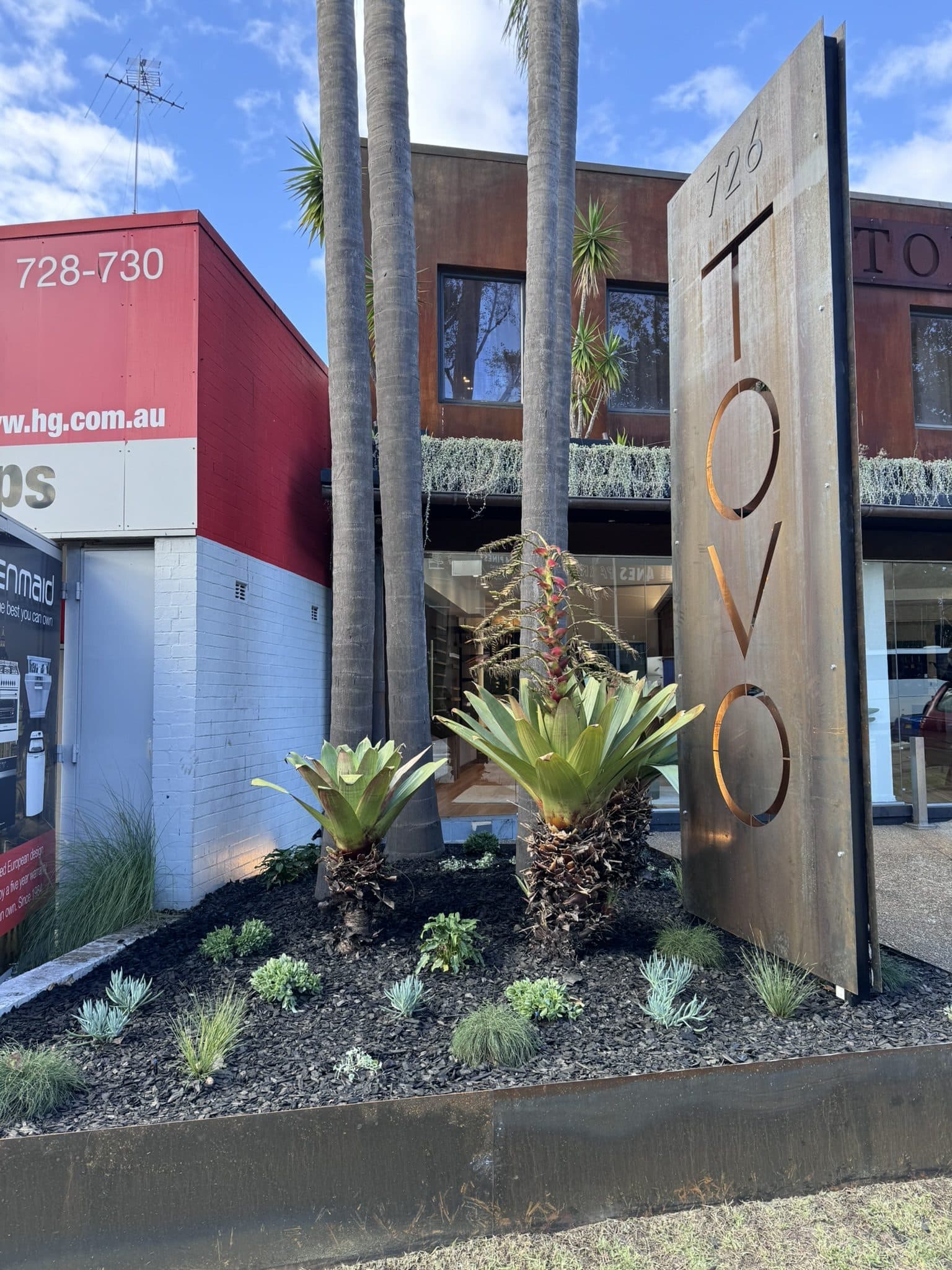 A commercial streetfront garden bed planted with feature succulents