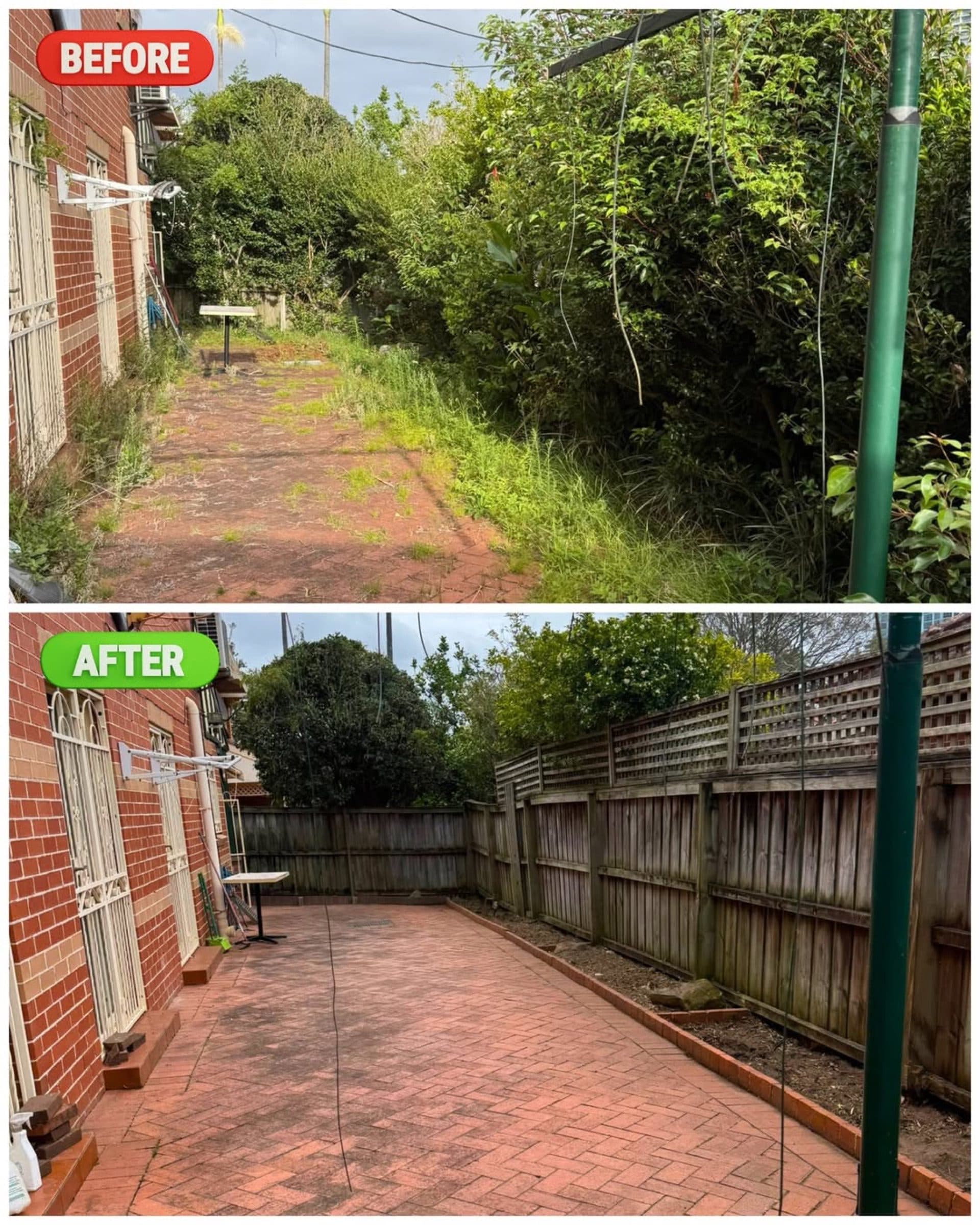 An overgrown yard before and after, with trees and weeds cleared away